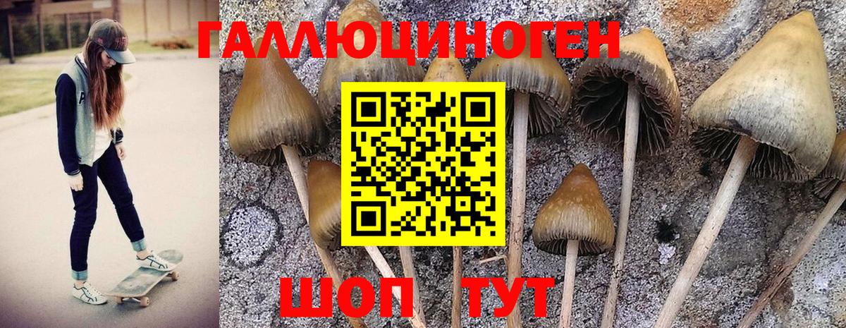 Псилоцибиновые грибы Psilocybe  Вход с VPN  Галлюциногенные грибы MAGIC MUSHROOMS  Шелехов 